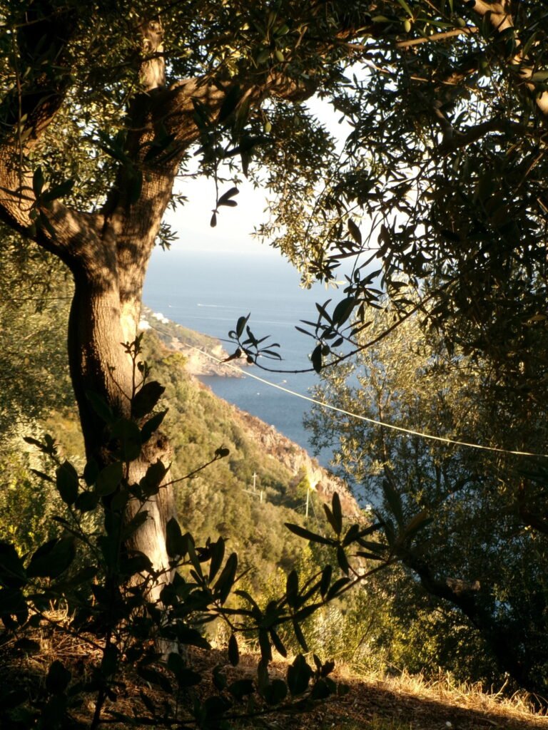 The views from the Positano Yoga Retreat